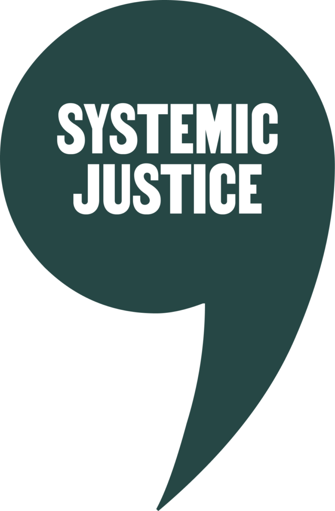 Systemic Justice logo overlaid onto a comma