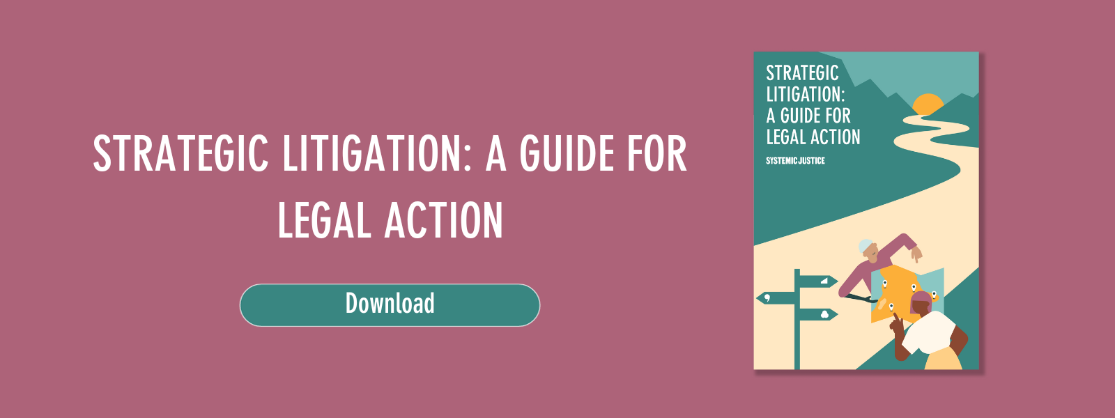 Strategic litigation: a guide for legal action